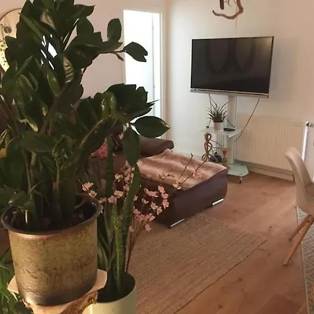 Wunderschoene Cityoase In Mitte Apartamento *