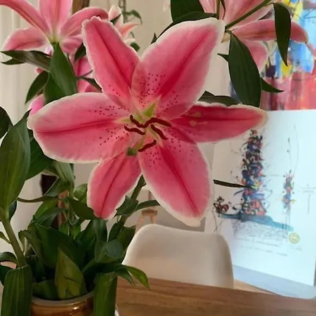 Apartamento Wunderschoene Cityoase In Mitte